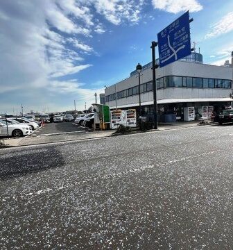 大さん橋総合ビル改修工事