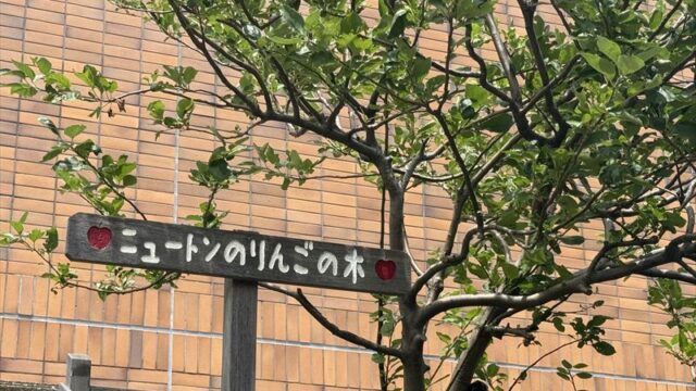 ニュートンのリンゴの木